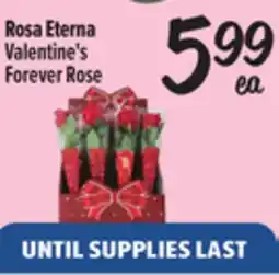 El Super Fresh Valentine's Forever Rose offer