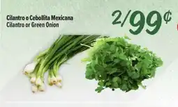El Super Fresh Cilantro or Green Onion offer