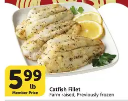 Vons Catfish Fillet offer
