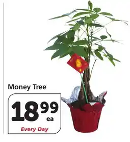 Vons Money Tree offer