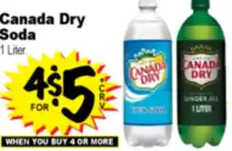 Superior Grocers Canada Dry Soda offer