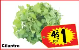 Superior Grocers Cilantro offer