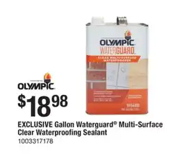 The Home Depot OLYMPIC Gallon Waterguard Multi-Surface Clear Waterproofing Sealant offer