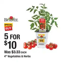 The Home Depot Burpee 4 Vegetables & Herbs offer