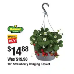 The Home Depot Bonnie 10 Strawberry Hanging Basket offer