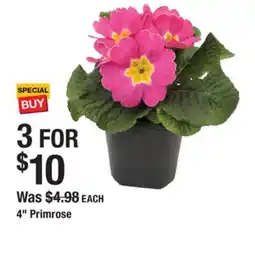 The Home Depot 4 Primrose offer