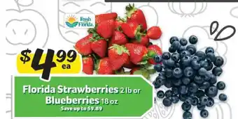Florida Strawberries or Blueberries