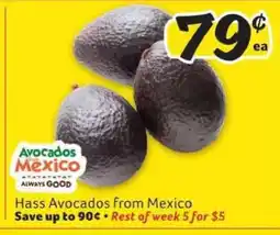 Winn Dixie Hass Avocados from Mexico offer