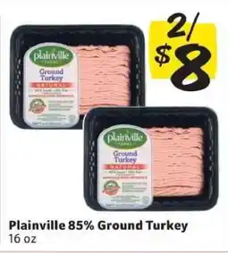 Winn Dixie Plainville 85% Ground Turkey offer