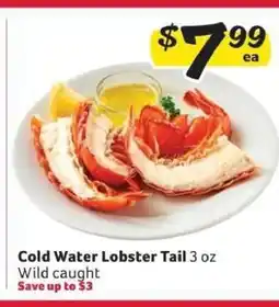 Winn Dixie Cold Water Lobster Tail offer