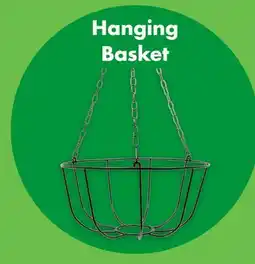 Dollar Tree Hanging Basket offer