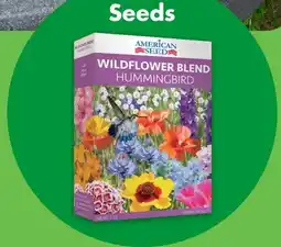 Dollar Tree Seeds offer