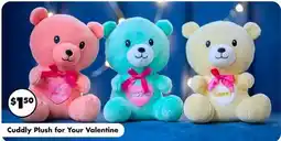 Dollar Tree Cuddly Plush for Your Valentine offer
