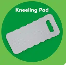 Dollar Tree Kneeling Pad offer