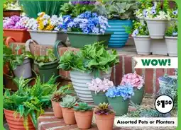 Dollar Tree Assorted Pots or Planters offer