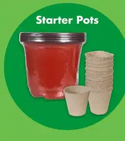 Dollar Tree Starter Pots offer