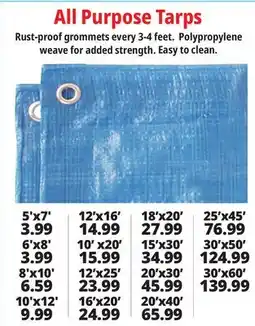 Ocean State Job Lot All Purpose Tarps offer