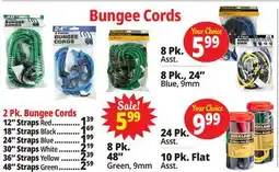 Ocean State Job Lot Bungee Cords offer