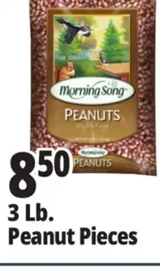 Ocean State Job Lot 3 Lb. Peanut Pieces offer