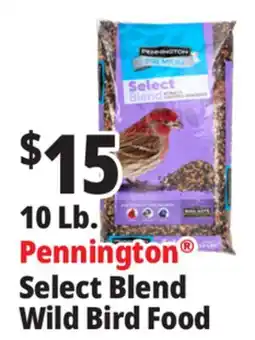 Ocean State Job Lot Pennington Premium Select Blend Bird Seed 10 lb offer