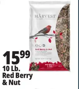Ocean State Job Lot Harvest Seed & Supply Red Berry & Nut Wild Bird Food 10 lb offer