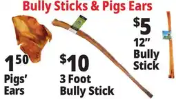 Ocean State Job Lot Bully Sticks offer