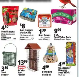 Ocean State Job Lot Bird Suet offer