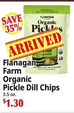 Ocean State Job Lot Flanagan Farm Organic Pickle Dill Chips offer