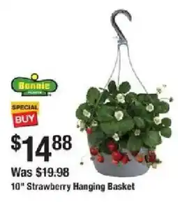 The Home Depot Strawberry Hanging Basket offer