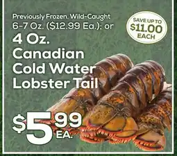 DeCicco & Sons Canadian Cold Water Lobster Tail offer