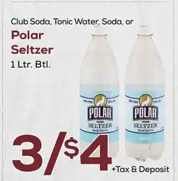 DeCicco & Sons Polar Seltzer offer