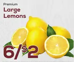 DeCicco & Sons Premium Large Lemons offer