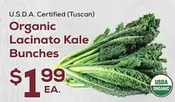 DeCicco & Sons Organic Lacinato Kale Bunches offer