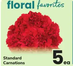 ACME Standard Carnations offer