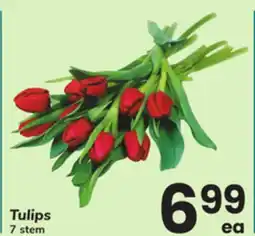 ACME Tulips offer