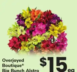 ACME Overjoyed Boutique Big Bunch Alstro offer