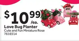Stop&Shop Love Bug Planter offer