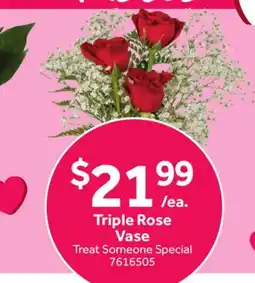 Stop&Shop Triple Rose Vase offer