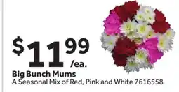 Stop&Shop Big Bunch Mums offer