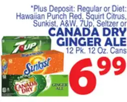 Bravo Supermarkets Canada Dry Ginger Ale offer