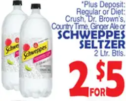 Bravo Supermarkets SCHWEPPES SELTZER offer