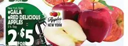 Bravo Supermarkets GALA, RED DELICIOUS APPLES offer