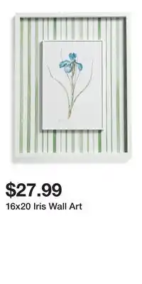 TJ Maxx 16x20 Iris Wall Art offer
