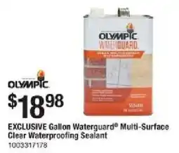 The Home Depot Olympic offer