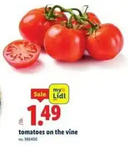 Lidl Tomatoes offer