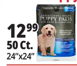 Ocean State Job Lot 50 Ct. Professional Grade Puppy Pads offer