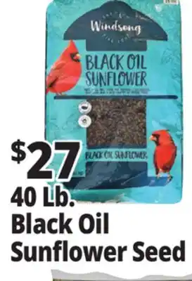 Ocean State Job Lot Black Oil Sunflower Seed offer
