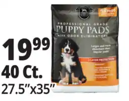 Ocean State Job Lot Professional Grade 27.5 x 35 Puppy Pads with Odor Eliminators 40 Count offer
