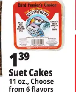 Ocean State Job Lot Suet Cakes offer