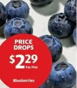 Blueberries